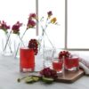 Set of 3 LAV Elegan Whisky Glasses Water Juice Cocktail Tumblers 315ML Clear - Image 5